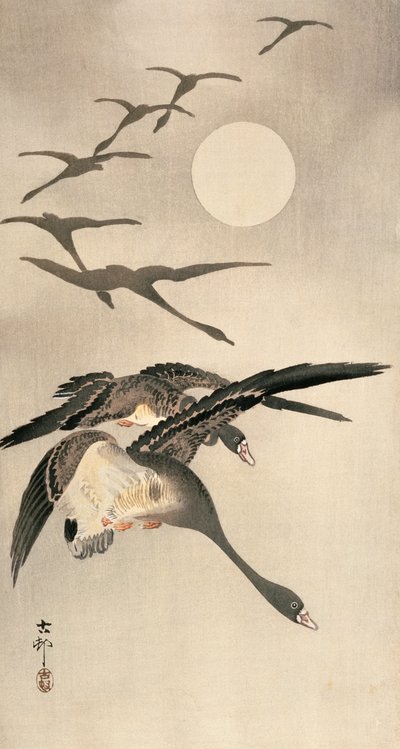 Flying Geese and Full Moon, c. early 1900s by Ohara Koson